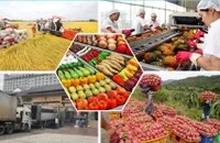 Triển vọng tăng trưởng của Việt Nam trong năm 2025